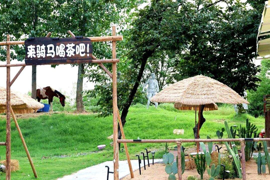 贵族运动, 场挑马